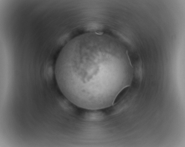 X0000113900716200910011343