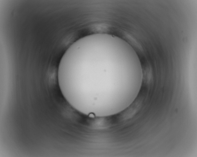 X0000113900717200910011343