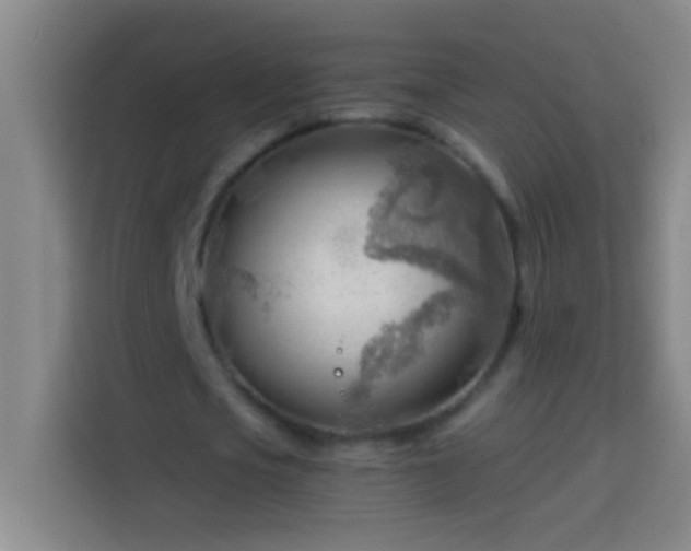 X0000113900721200910011342