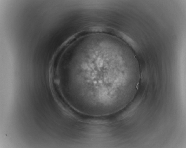 X0000113900722200910011342