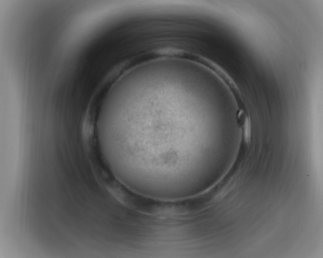 X0000113900723200910011342