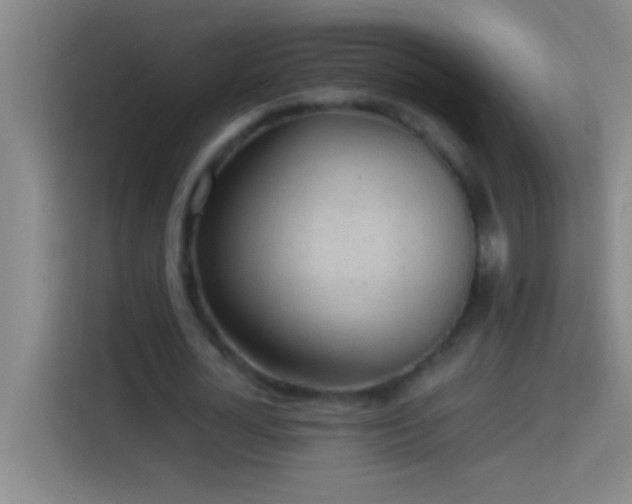 X0000113900724200910011342