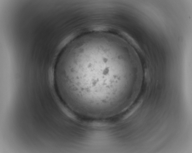 X0000113900725200910011342