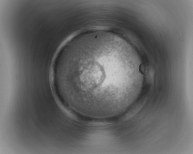 X0000113900726200910011342