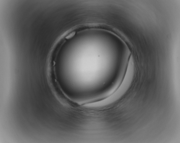 X0000113900728200910011342