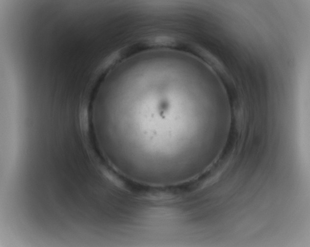 X0000113900729200910011342