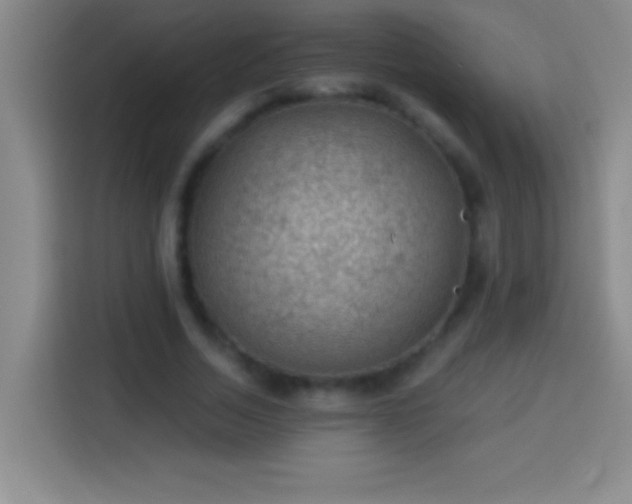 X0000113900730200910011342