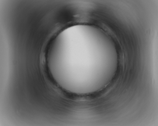 X0000113900731200910011342