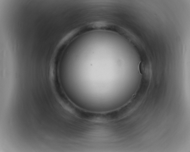 X0000113900732200910011342