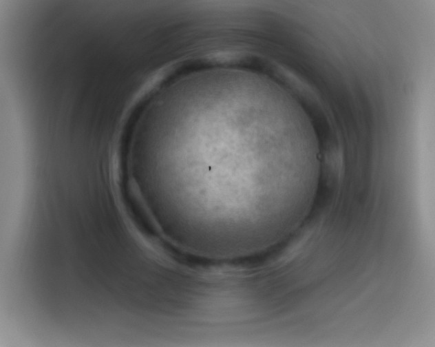 X0000113900734200910011342