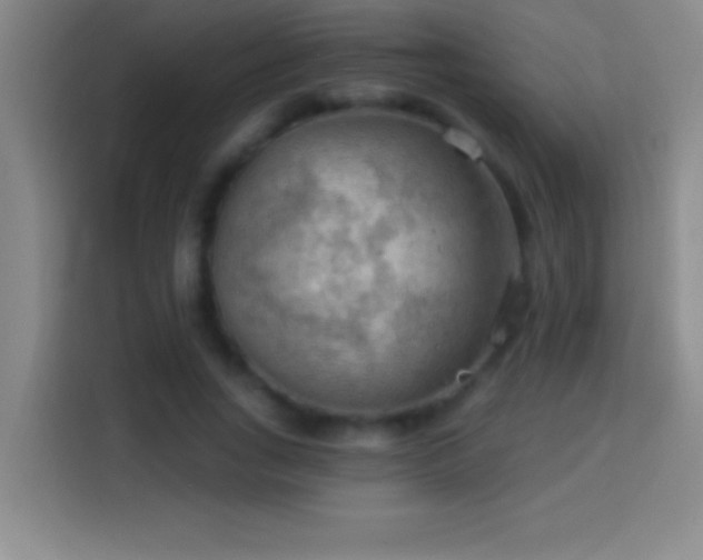 X0000113900735200910011342