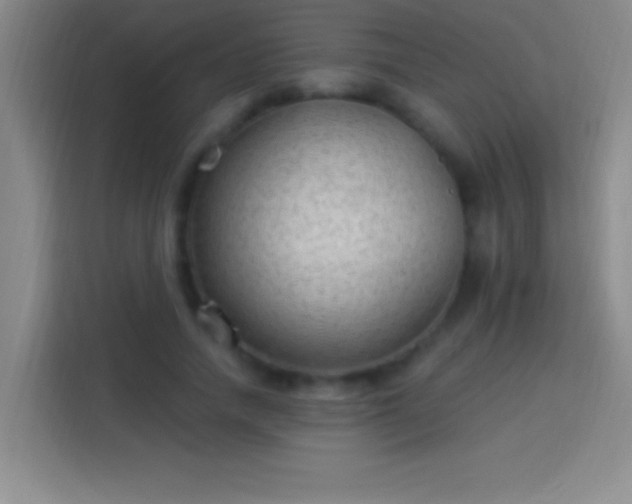 X0000113900738200910011342