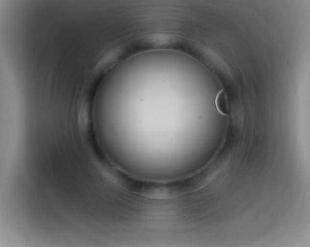 X0000113900740200910011342