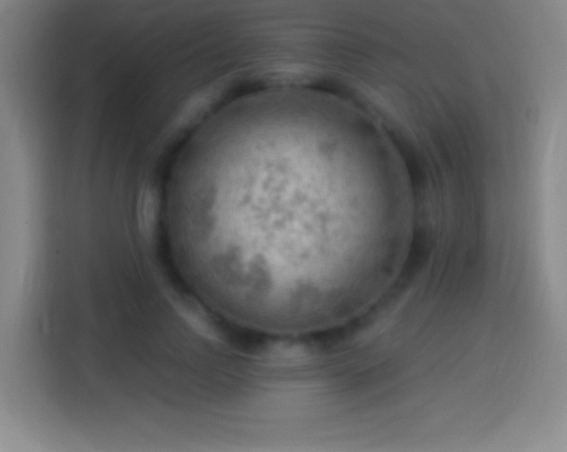 X0000113900742200910011342