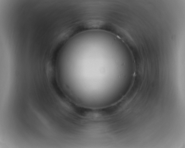 X0000113900743200910011342