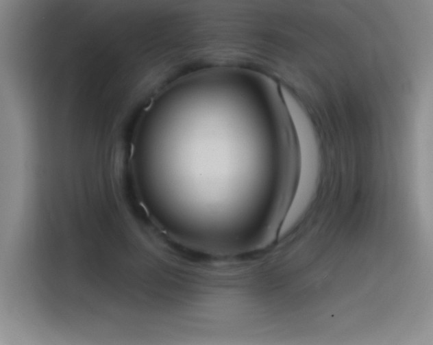 X0000113900744200910011342