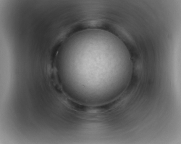 X0000113900746200910011342