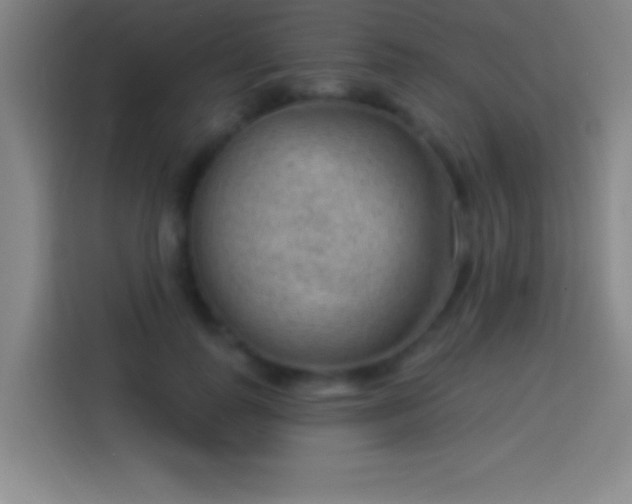 X0000113900747200910011342