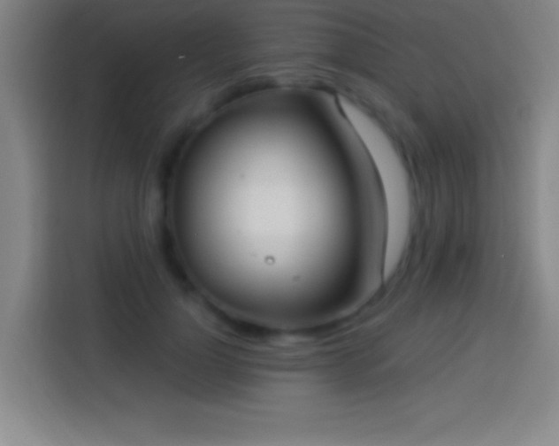 X0000113900748200910011342