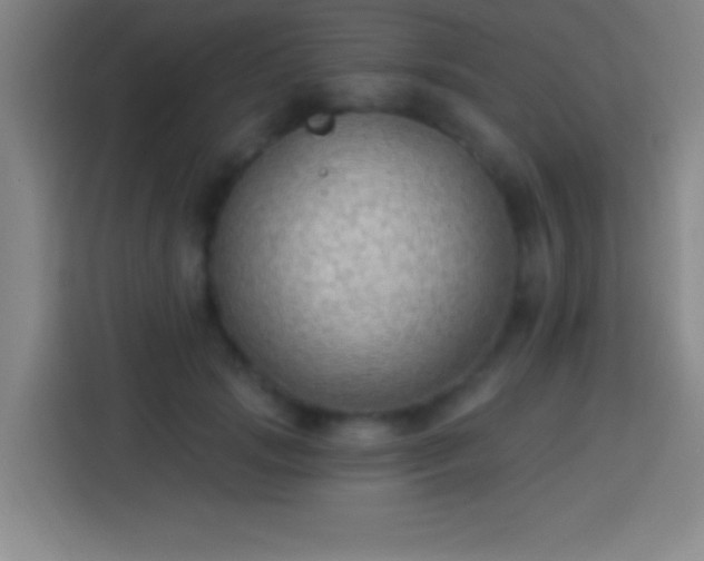 X0000113900749200910011342