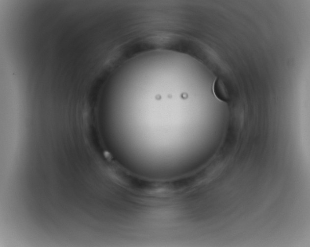 X0000113900750200910011342