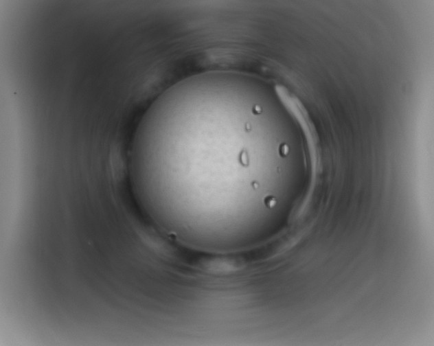 X0000113900751200910011342