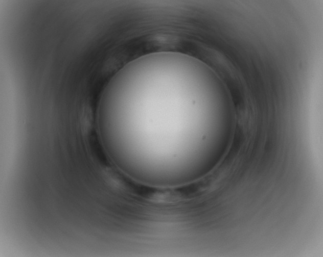 X0000113900752200910011342