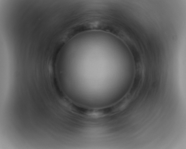 X0000113900754200910011342