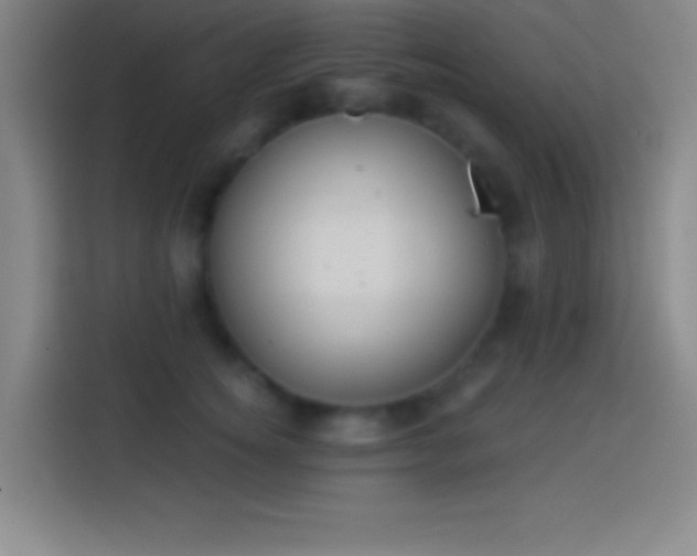 X0000113900756200910011342