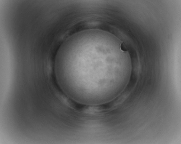 X0000113900758200910011342