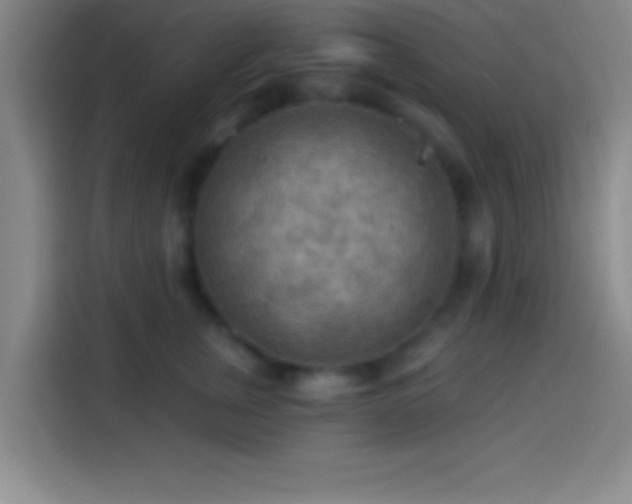 X0000113900759200910011342