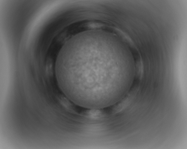 X0000113900762200910011342