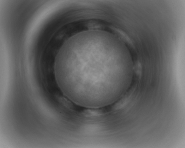 X0000113900763200910011342