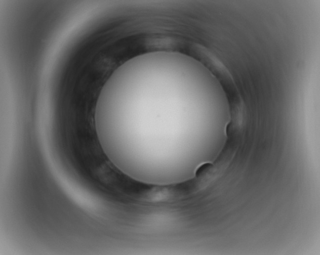 X0000113900764200910011342