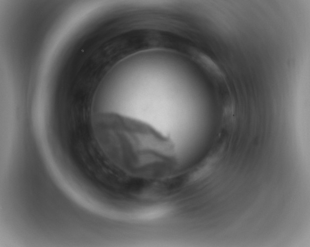 X0000113900765200910011342