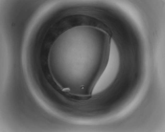 X0000113900766200910011342