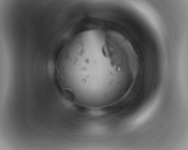 X0000113900767200910011342