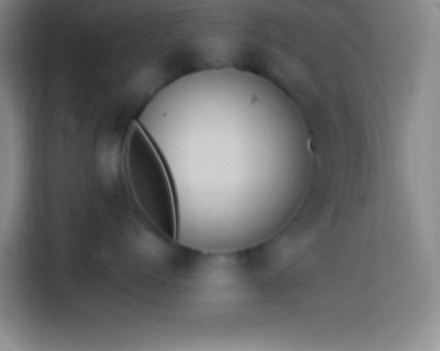 X0000113900768200910011343