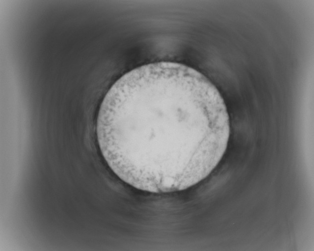 X0000113900769200910011342