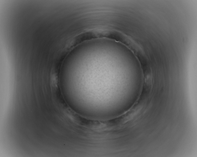 X0000113900772200910011342