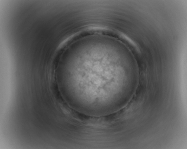 X0000113900775200910011342