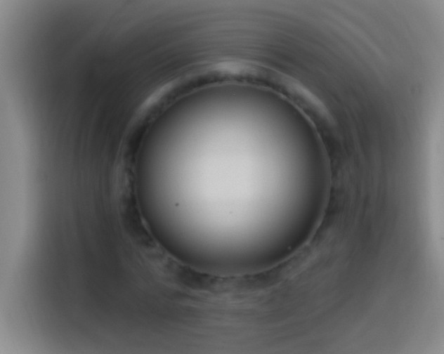 X0000113900776200910011342