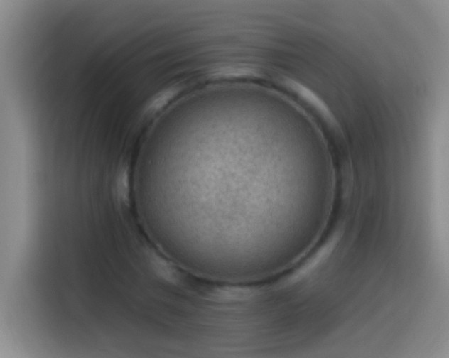 X0000113900777200910011342