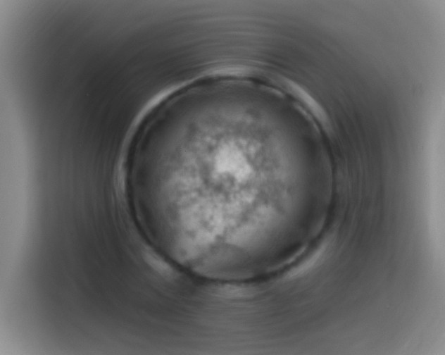 X0000113900779200910011342