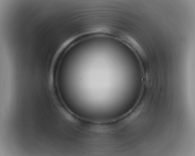 X0000113900780200910011342