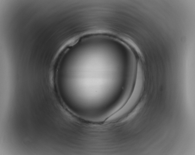 X0000113900781200910011342