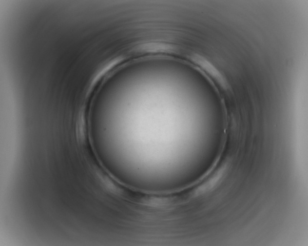 X0000113900782200910011342