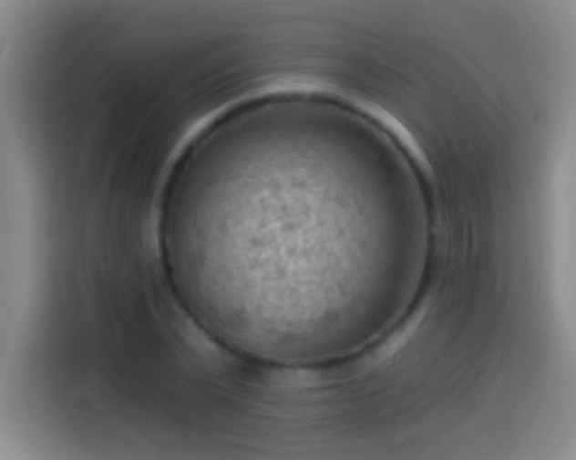 X0000113900783200910011342