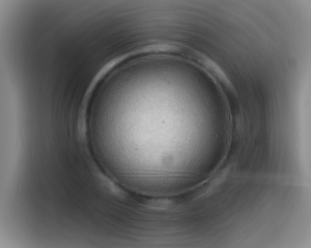 X0000113900784200910011342