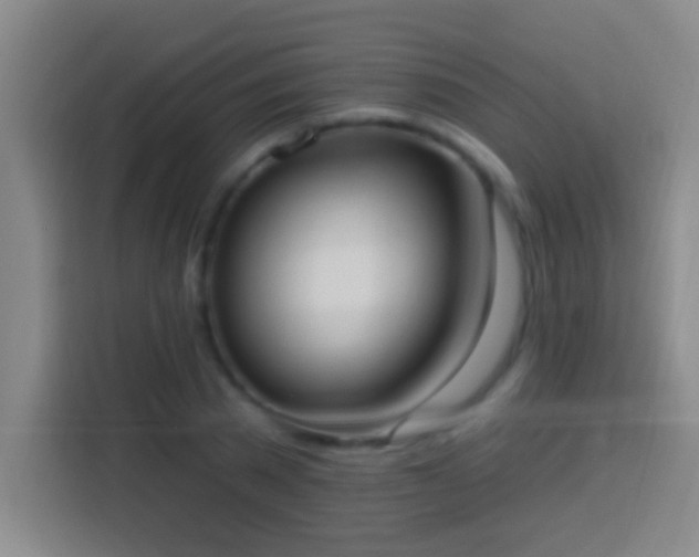 X0000113900785200910011342